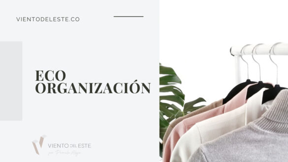 que-es-la-eco-organizacion